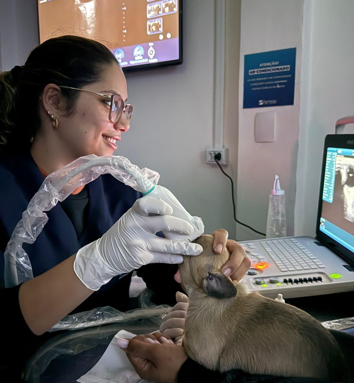 Sarah Veterinária atendendo um cachorro